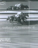 Affirmed photo finish Belmont Stakes