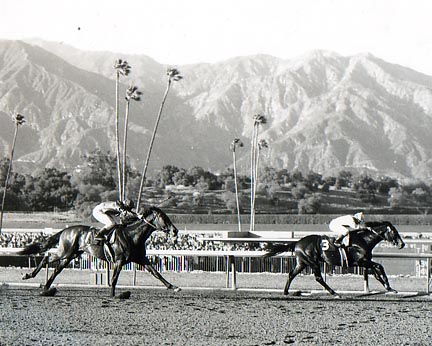 Ack Ack winning the 1971 Santa Anita Derby (Gr.1), photo Thoroughbredmemories.com