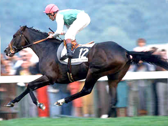 Dancing Brave, winning the Arc, photo from http://members.tripod.com/horsephoto/dancing_brave.htm