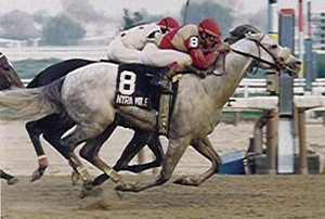 Julie Krone with Rubiano, winning the NYRA Mile