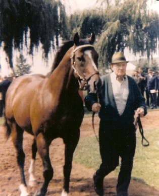 Northern Dancer in the Woodbine racetrack, photo Charlie Martell