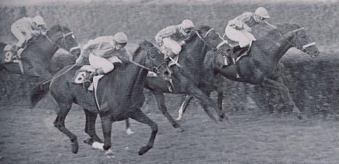 Lester Piggot con Tot ganando el Gran Premio de Madrid en 1967, delante de Ferial, Enki y Reltaj , caballo en teora sin probabilidad y ganador contra todo pronstico
