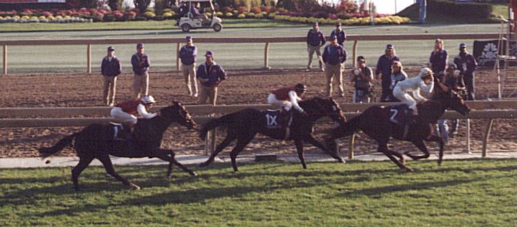 The finish of the 1996 Breeders' Cup Turf, Pilsudski (the best Troy's son, Singspiel, and Swain