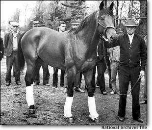 Seabiscuit, photo from National Archives File