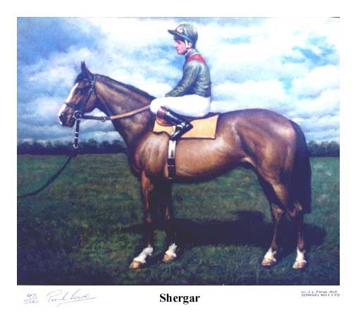 Shergar, paint from www.fineart.co.uk