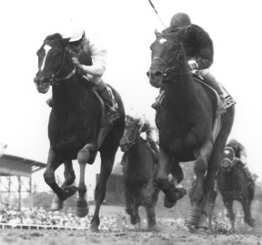 Sunday Silence & Easy Goer in the Preakness Stakes