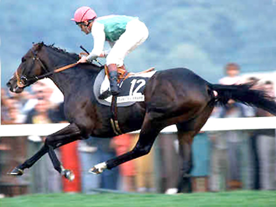 Dancing Brave, ganando el Arco, foto de http://members.tripod.com/horsephoto/dancing_brave.htm