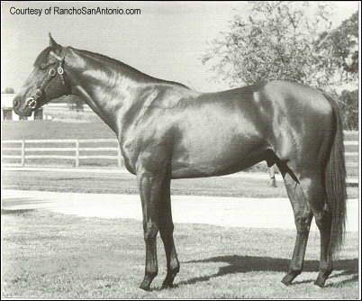 Dr.Fager, foto de ranchosanantonio.com