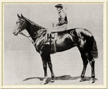 Pretty Polly, photo from tbheritage.com