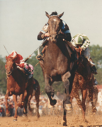 Spectacular Bid ganando el 1979 Derby de Kentucky, foto de thoroughbredmemories.com