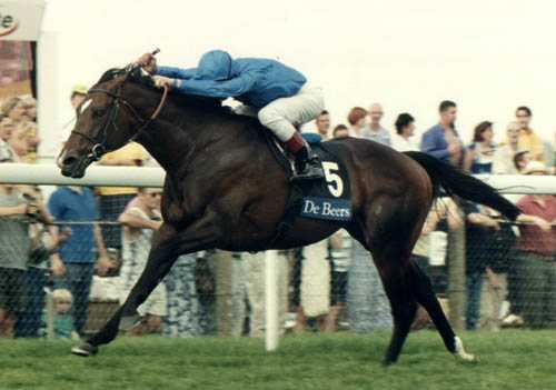 Swain, the best Nashwan's son, winning the 1998 King George, photo from godolphin.com