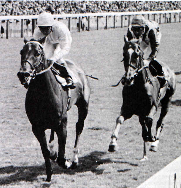 Troy, winning the 1979 Benson and Hedges, photo from www.artemisian.com/troy