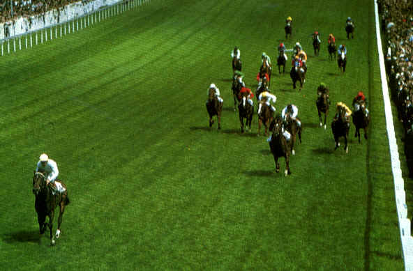 Troy, winning the 1979 Derby, after the Flamingo, photo from www.artemisian/troy